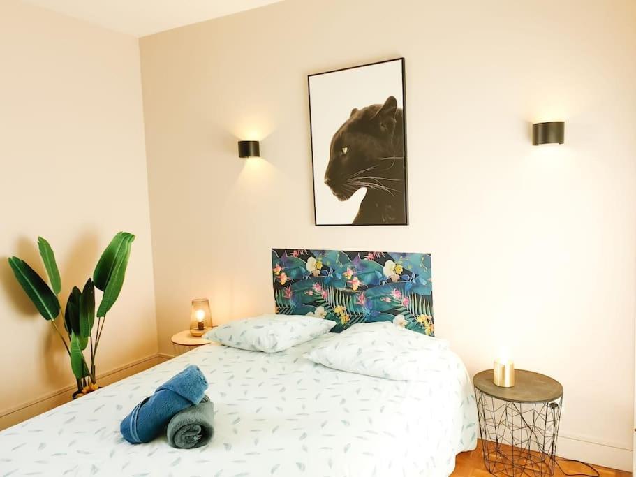 Cosy Mure 4Ch - Stationnement Gratuit Pau Eksteriør bilde